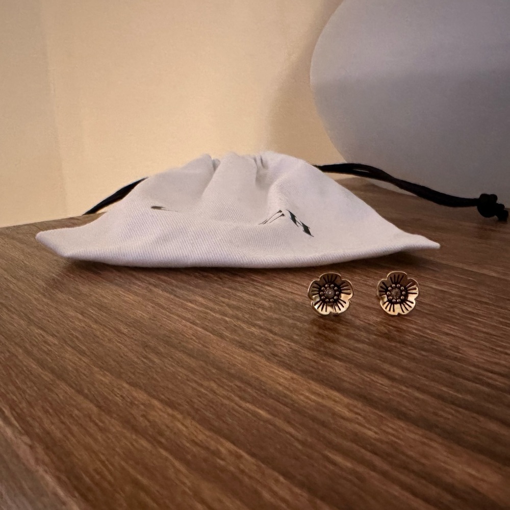 Coach earrings